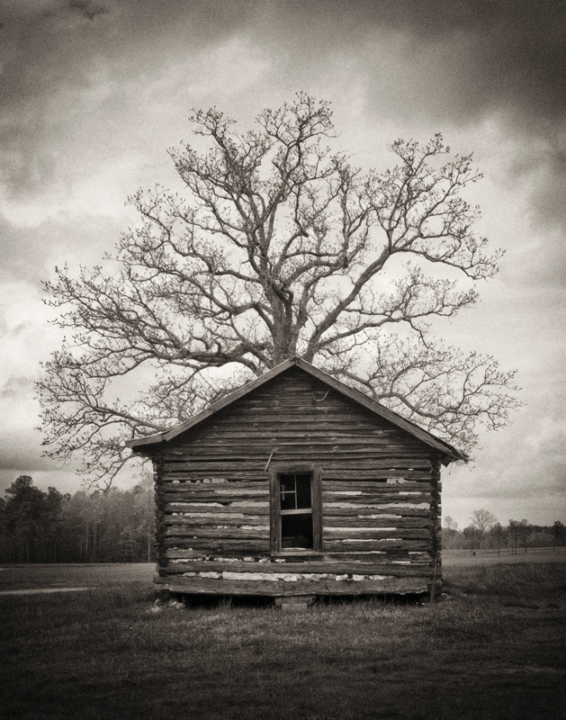 Tree House (c) 2013 Wojtek Wojdynski