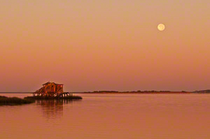 Moonset (c) Margo Taussing Pinkerton