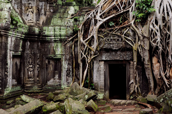 Embrace photo (c) Peter Armenia