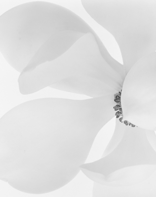 Untitled photograph (c) Seth Benson