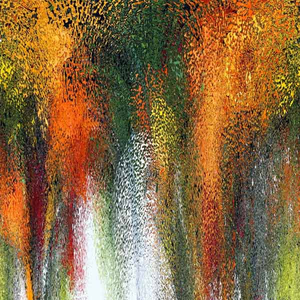 Vicki Wilson photograph